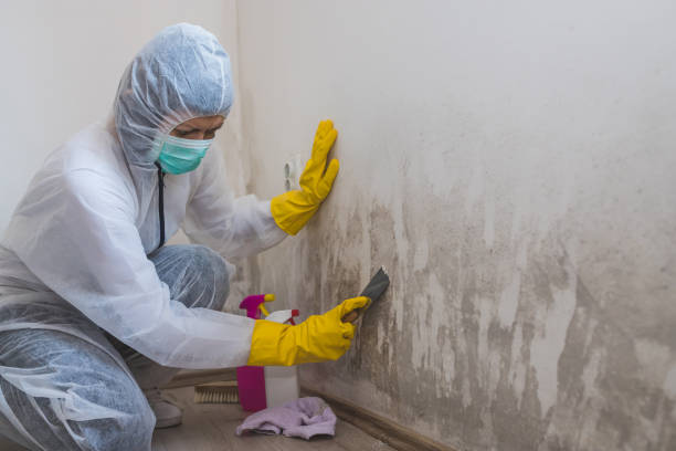 Stigler, OK Mold Removal Company