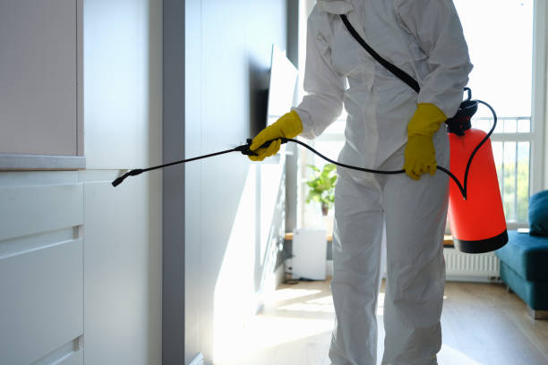 Best Professional Mold Removal  in Stigler, OK