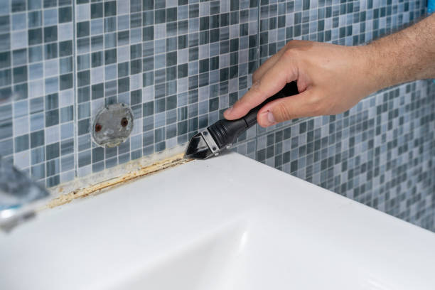 Best Mold Cleaning Services  in Stigler, OK