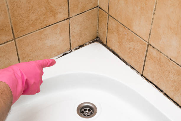Best Mold Testing  in Stigler, OK